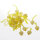 Acrylherzen mit Perle und Aufh&auml;nger Farbe Gelb - 24mm - VE = 24 St&uuml;ck - 94244-24-15